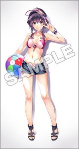 Michiru Hyodo Swimsuit Ver by Good Smile Company from Saekano 7