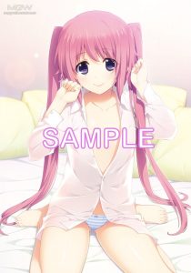 LOVELY×CATION2 Kanojo tono Shiawase na Nichijo Tapestry Nirasaki Hinata