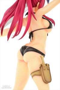 Erza Scarlet Swimsuit Gravure_Style by OrcaToys from FAIRY TAIL 16
