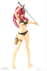 Erza Scarlet Swimsuit Gravure_Style by OrcaToys from FAIRY TAIL 2