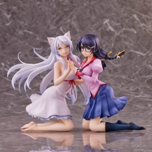 Nekomonogatari Hanekawa Tsubasa Pair by Union Creative 11