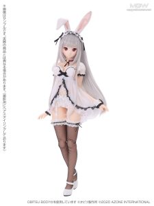 Iris Collect Rino Tsukiyo no Maid Usagi san by AZONE International 3