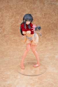 DAIKI Kougyou Laundry Girl Suikawa Amane illustration by Taira Tsukune from GOT Tapestry Collection 12