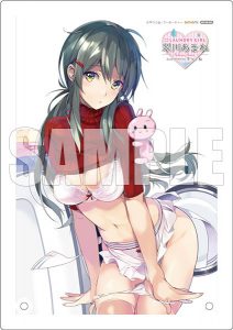 DAIKI Kougyou Laundry Girl Suikawa Amane illustration by Taira Tsukune from GOT Tapestry Collection 25